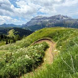 Mountain biking trail ... on the way down from the refuge hut — Pralongià Plateau, Dolomiti.