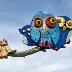 One of the many owls near the 'Refuge for the Owls' — Pralongià Plateau, Dolomiti.