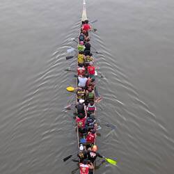 rowers on the river