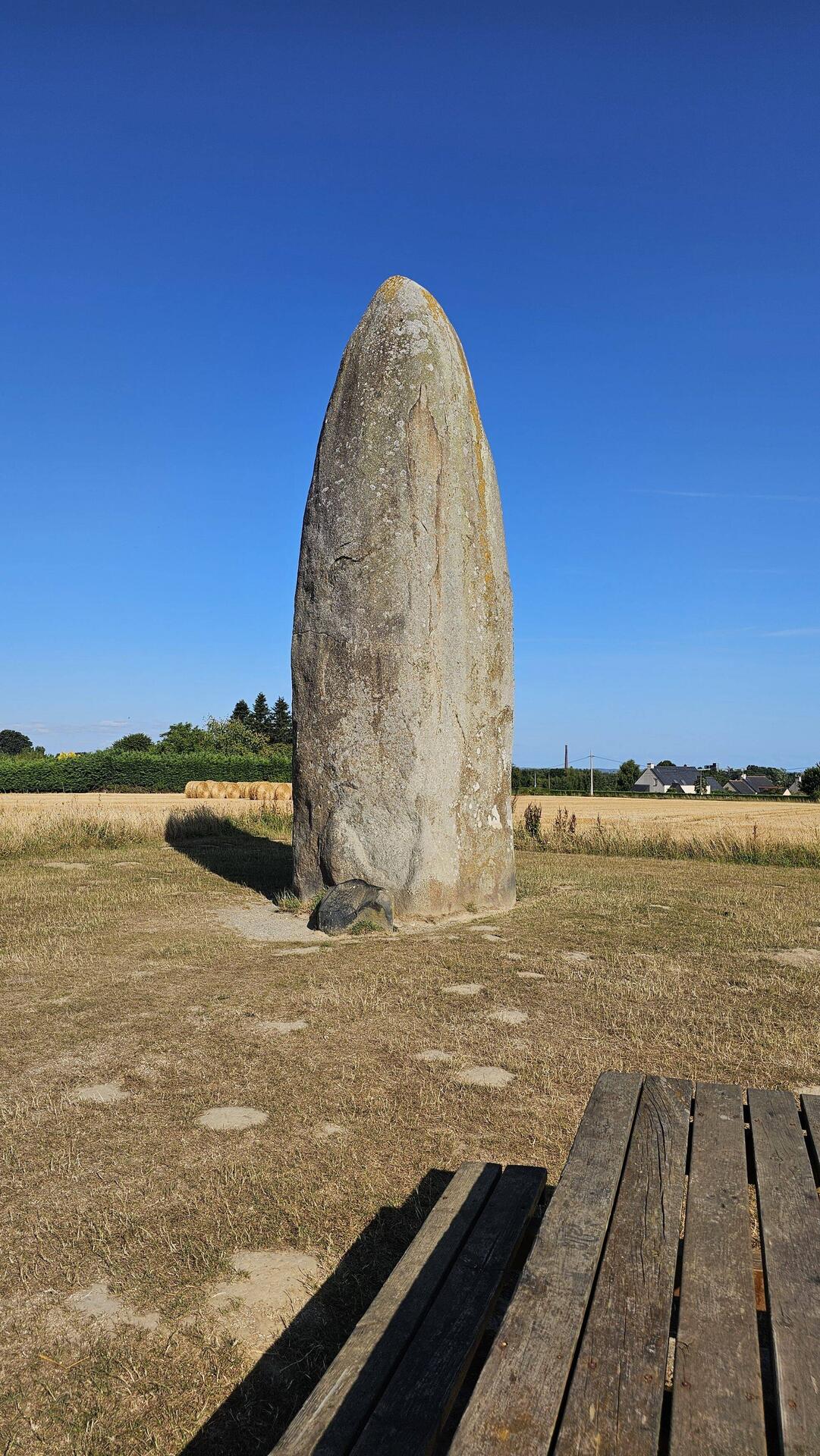 9,3 m høj