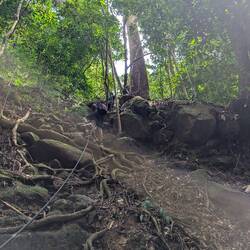 Scramble up