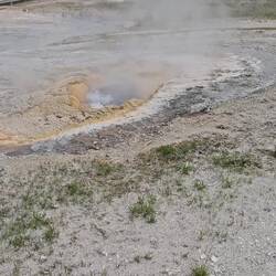 Lots of various features are active in the geyser basin