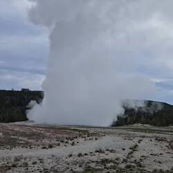 Old Faithful doing its thing.
