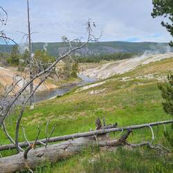 Looking down the river near Old Faithful.