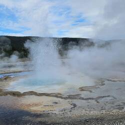 Activity in the geyser basin.