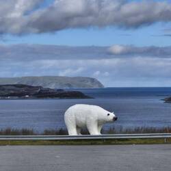 Abschied von Hammerfest, schön war es!