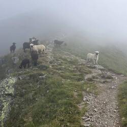 In den Wolken gings hoch zum nächsten Gipfel, dem Kellerjoch