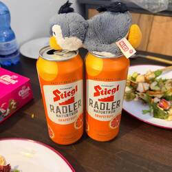 Grapefruitradler - leider nicht so gut wie das Slowenische, aber besser als nix 😋