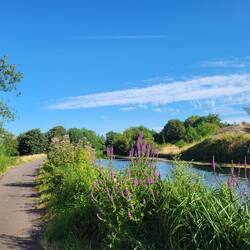 Am Canal de la Meuse.