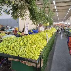 Alter Bazar