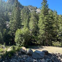 Big Horn National Forest