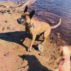 Rambo hatte wieder einen riesigen Spass im See