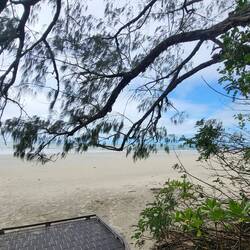 The Daintree Rainforest møder The Great Barrier Reef