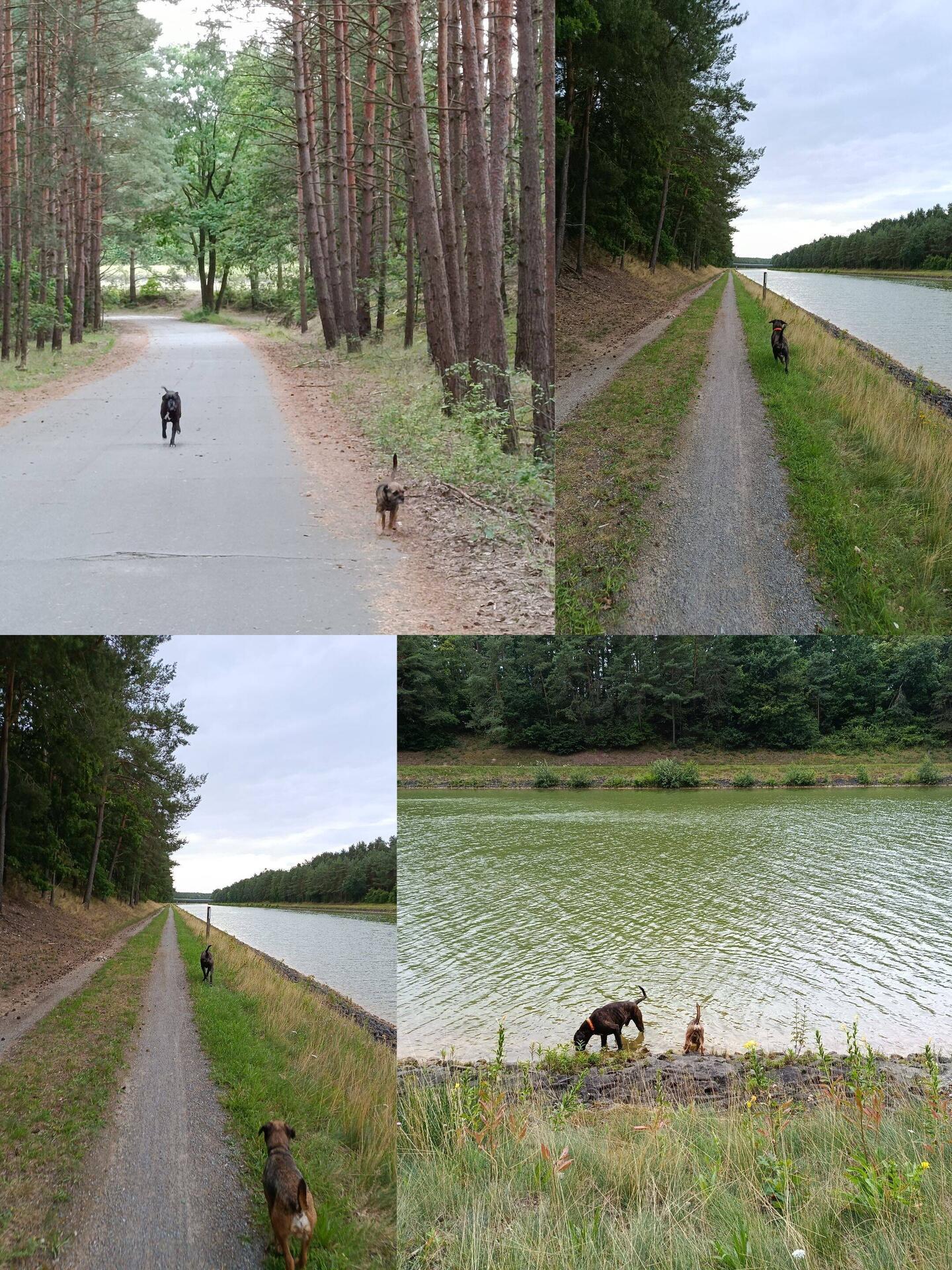 Schnell noch Mal ein Ründchen