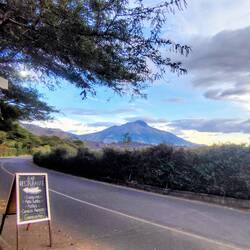 Von der Finca Sommerwind (manche Ecuadorianer:innen kommen extra wegen dem Cerveza Alemana) ...