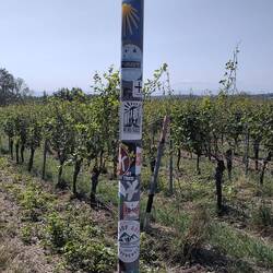 Markierung NST am Hexatrek