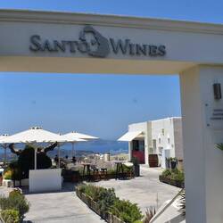 We started the day with wine tasting