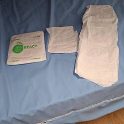 Paper sheets are an important resource to fight bed bugs