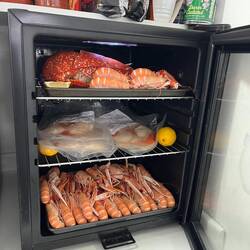 Shop auf dem Campingplatz. Lobster, Jakobsmuscheln, Langusten.