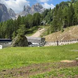 An unexpected and delightful moment as we were leaving the Edelweiss Hut — Colfosco, Italy.