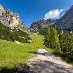 This is where we realized that to get to trail #8, we'd have to climb up quite a bit first.