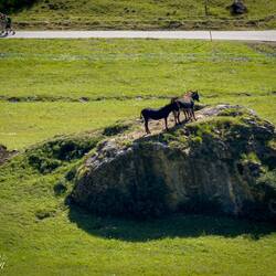 From the Colfosco cableway — Colfosco, Italy.