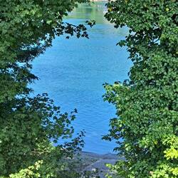 Rheinimpression