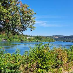 Rheinimpression