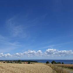 Landschaft kurz vor Ærøskøbing