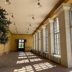 Orangerie Linneanum
