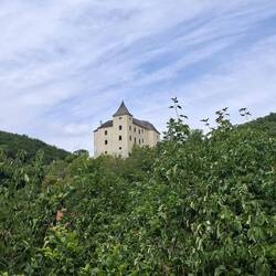Burg Wildegg