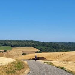 Die Gegend ist von Landwirtschaft geprägt.