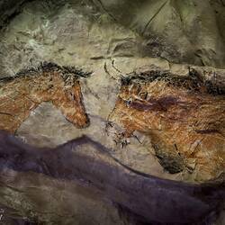 Sample cave painting that might have been found if the Conturines cave was at a lower elevation.