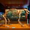 Full skeleton of a cave bear ... Museum Ladin Ursus ladinicus — San Cassiano, Italy.