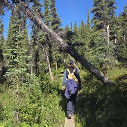 Wanderung auf gut ausgebauten Wegen