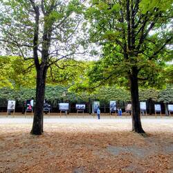 An open air photography exhibition