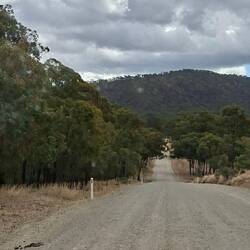 Drive out to Eungella Dam on Monday