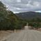 Drive out to Eungella Dam on Monday