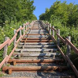 310 steps