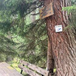 Hier dürfen nur via alpina Wanderer Pause machen 😉