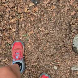 Donner und Regen