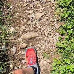 Dafür geht man wandern. 🤩