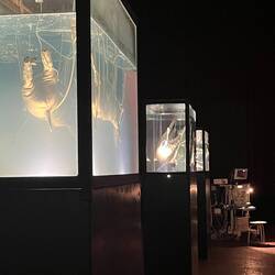 ... mit einer beeindruckenden Kunstinstallation von Macie Śmietanski...