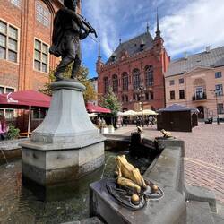 Der Fröschefänger von Toruń