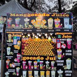 Gosh what a lot of mangoes