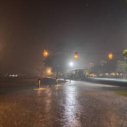 It's raining it's pouring
