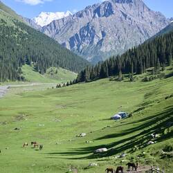 Altyn-Arashan Tal