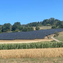 Fields of power