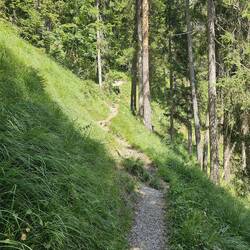Da ging es steil runter