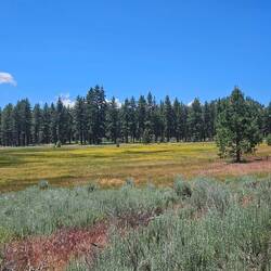 View from the trail